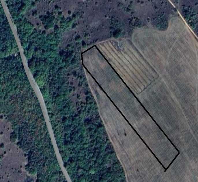 Поземлен имот площ 15.749 дка в земл. на с.Ново село, обл.Стара Загора