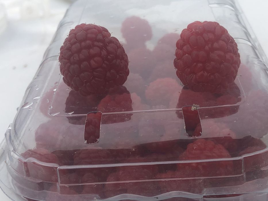 de vanzare butase de zmeura fertodi zamatos