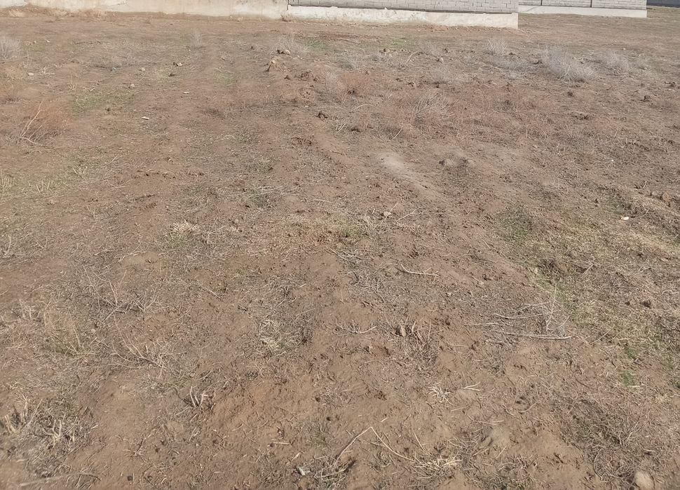 Yer sotiladi srochni bozor yaqin