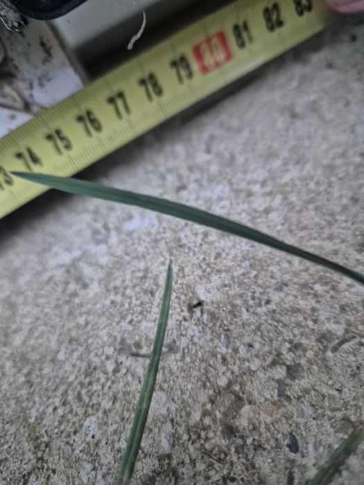 PVC и алуминиева дограма