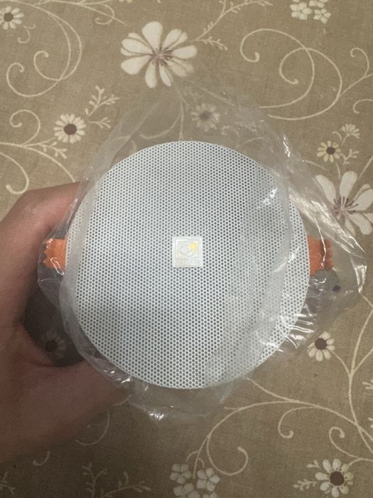 Колонка audac потолочная