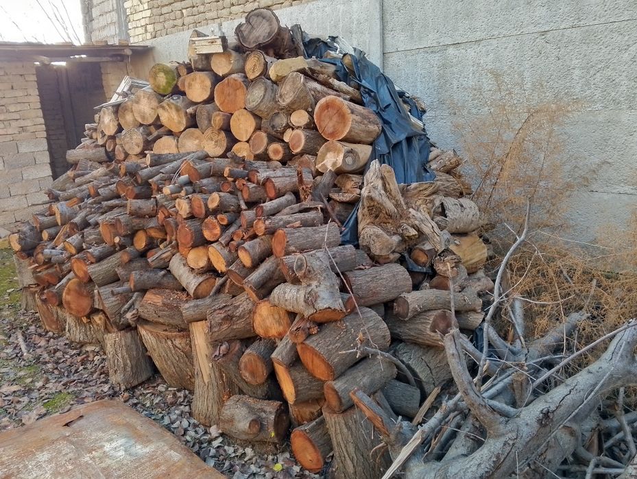 Otinlar yaxshi holatda