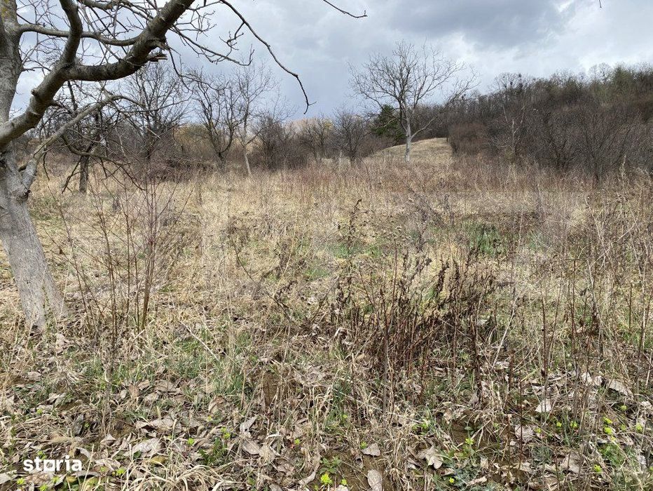 Teren intravilan in suprafata  de 2000 mp, zona Episcopiei