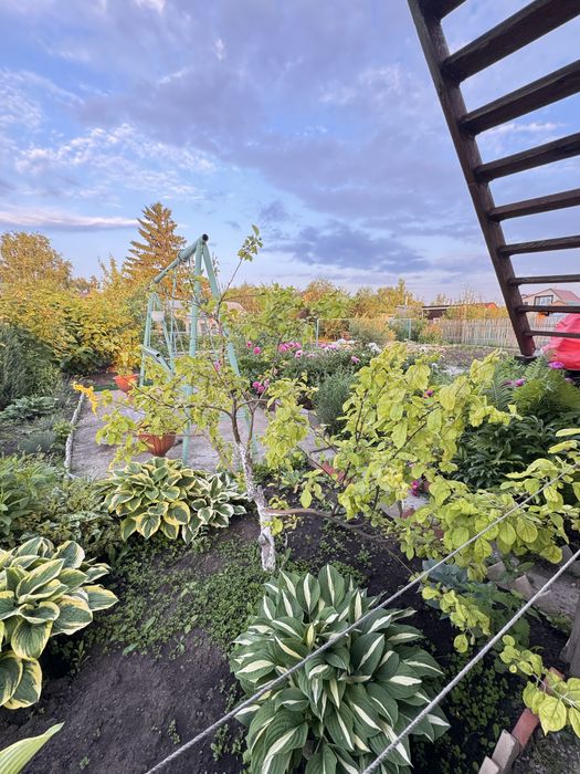 Продам дачу о. Пестрое