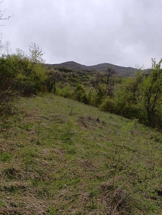 Продава се Земеделски имот в Ботевград -  кв.м за 2365 €/дка - Снимка #2