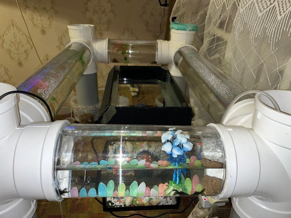 AquaTube Table — аквариум с трубками для рыб