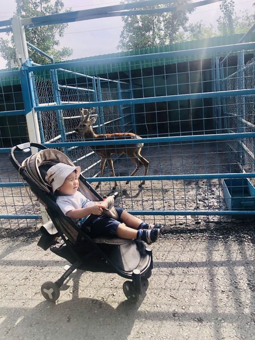 Продам летнюю прогулочную коляску