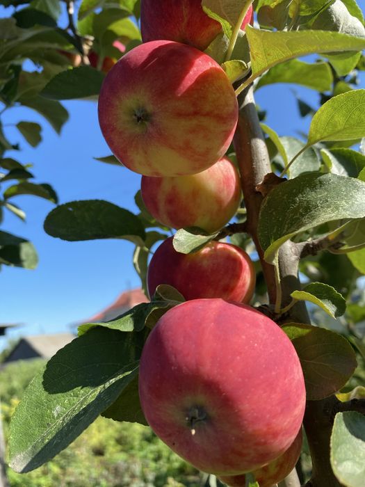 Продам  частный дом