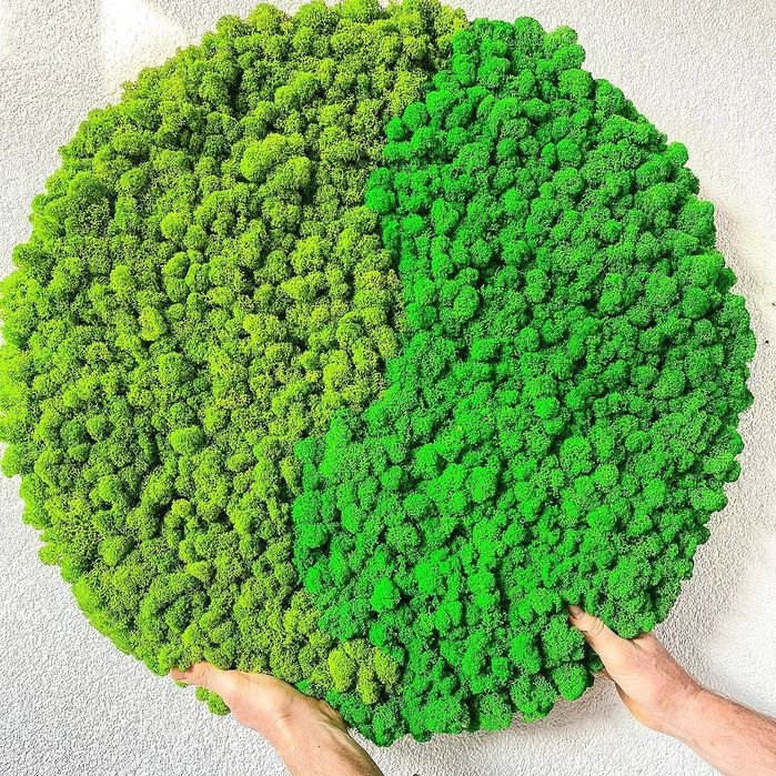 Fitostena | Mox | Фитозона | Стабилизированное