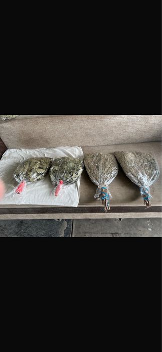 Веники для бани дубовые