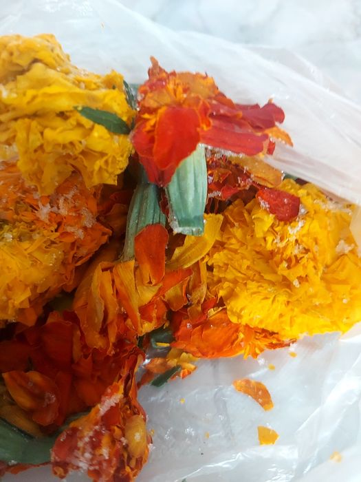 Продам БАРХОТЦЫ базилик