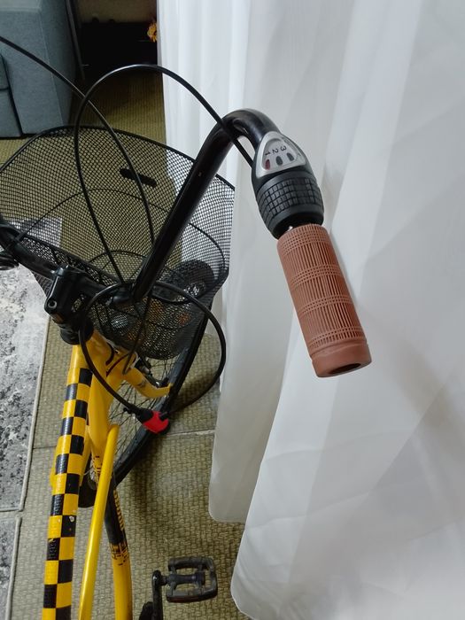 Vand bicicleta PEGAS model mare