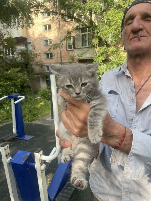 Кошка алмалинский район