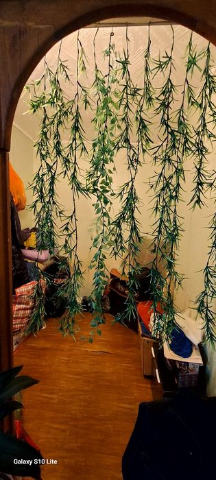 Квартира 2х комната