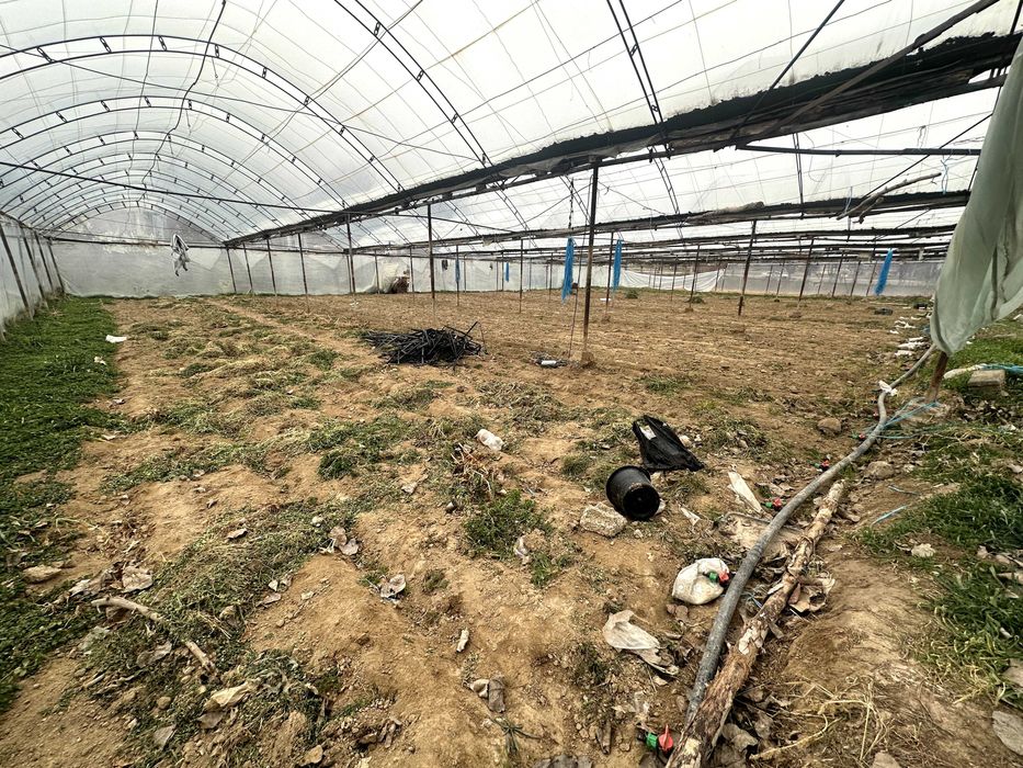 Yangiyo'l tumani M39 betonkani yoni 24 sotix