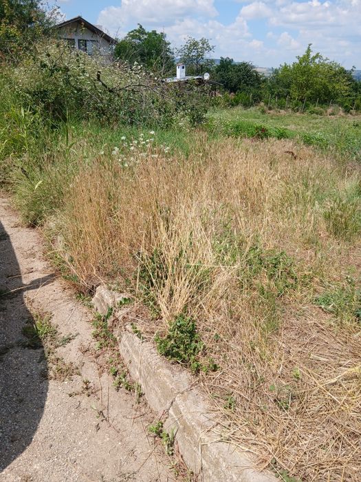 Продавам урегулиран парцел (УПИ) 1455 кв.м в с. Сава, обл. Варна
