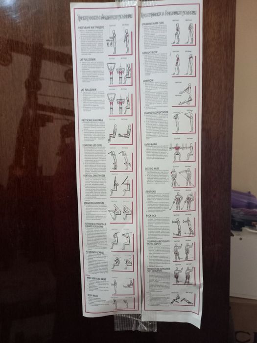 Професионален гладиатор