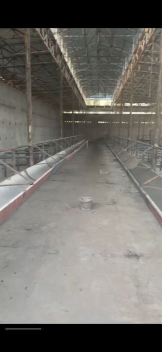 Ферма сотилади янгийулда