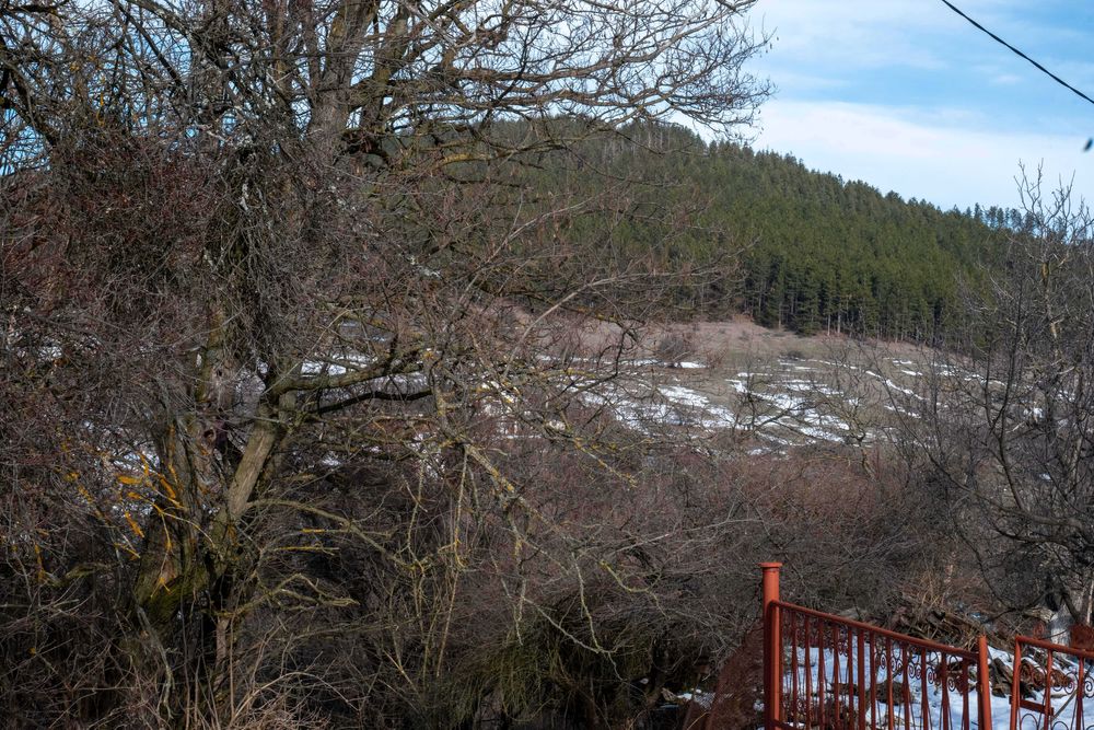 Продава се Парцел в Брезник - 4000 кв.м за 8 €/кв.м - Снимка #6