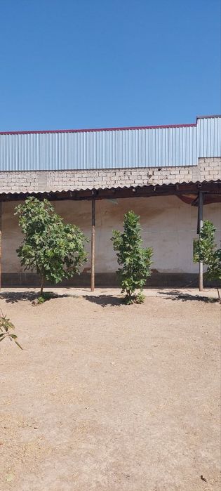 Белтепа Ер уй сотилади Шайхонтохур.