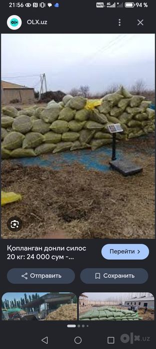 Силос яанги копланги