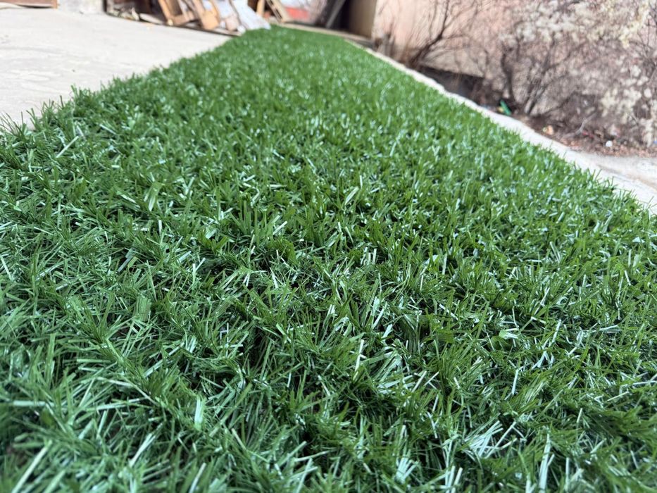 Жив плет, декоративна ограда