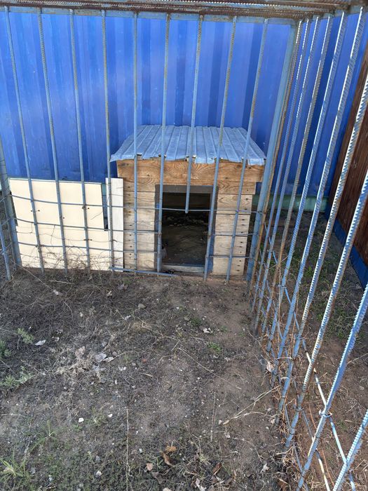 Вальер для собаки качественный