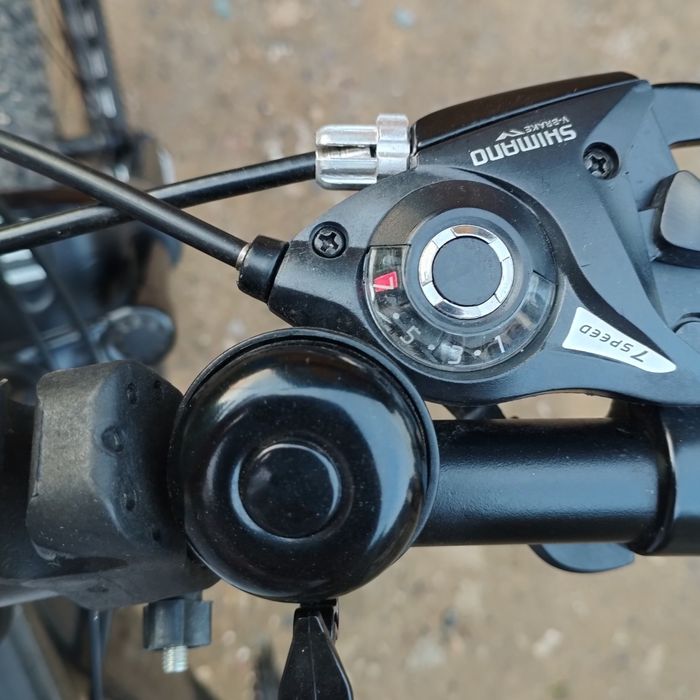 В поисках нового хозяина