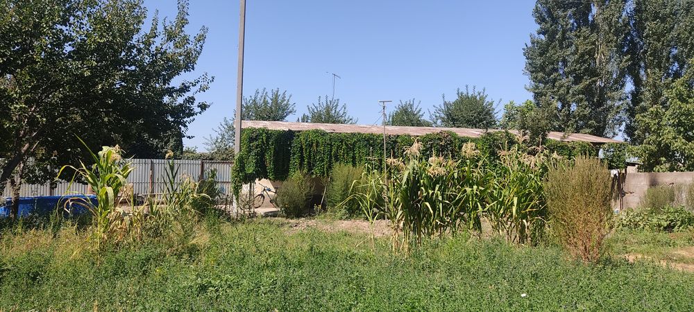 Уй сотилади 10 сотих 3 хонали