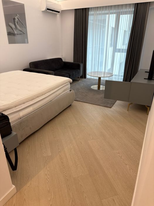 Studio Cortina  North Proproetar