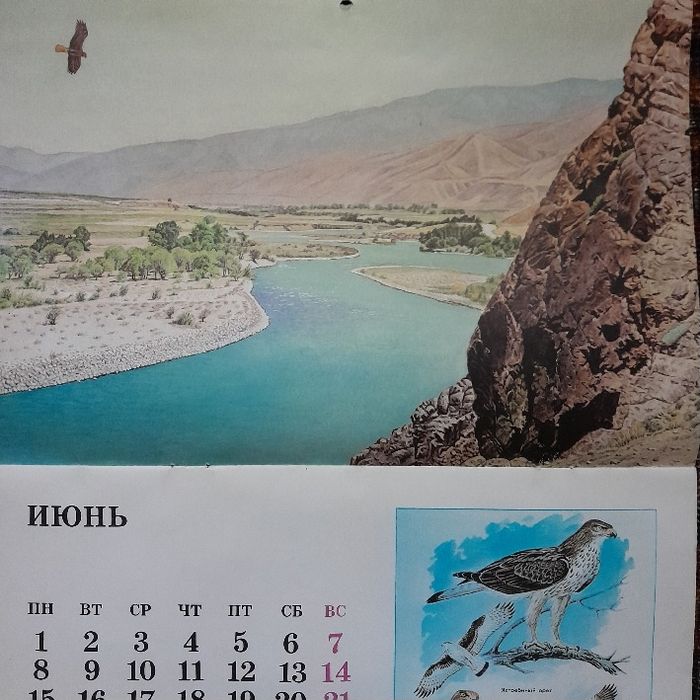Календаоь настеный птицы узбекистана
