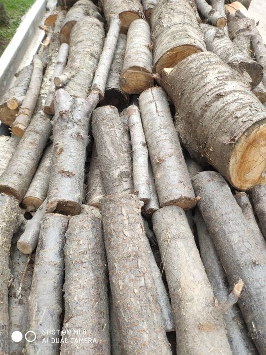 Утин сотилади Лабода, доставка