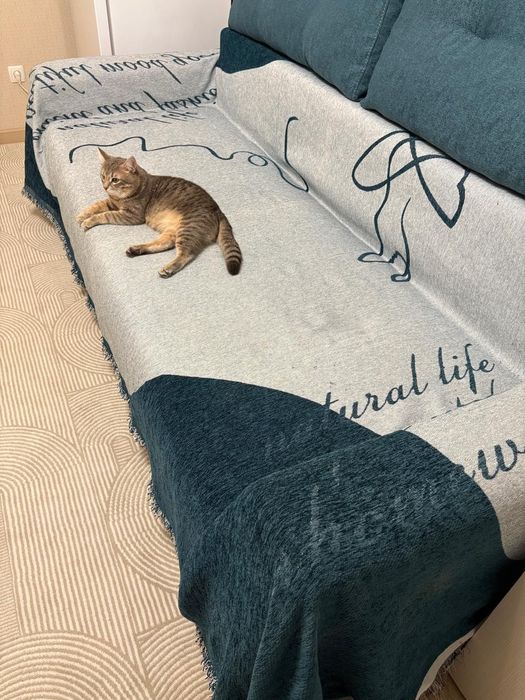 Диван раскладной 90×220