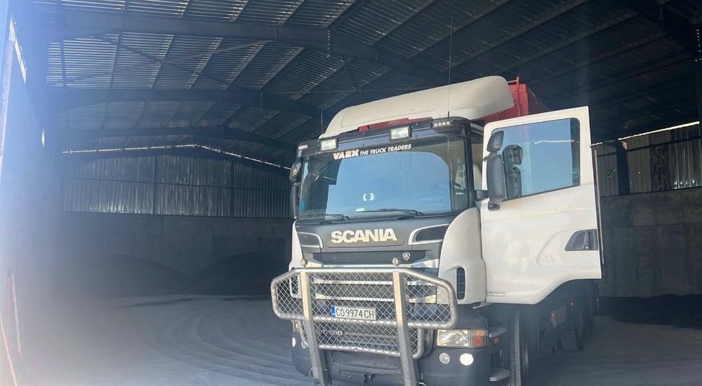 Bullbar за Scania