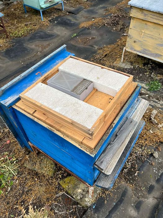 Кошери със магазини