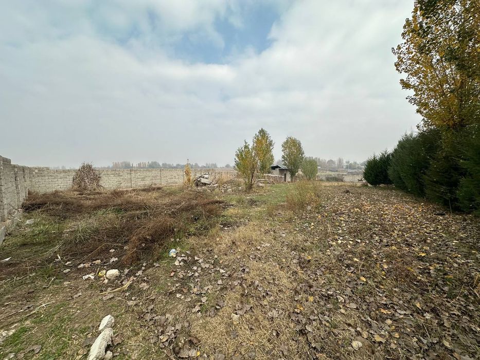 Yangi yul tumani Mirzo Ulugbek mfy Nurziyo kuchasi 12 sotix dakumintda