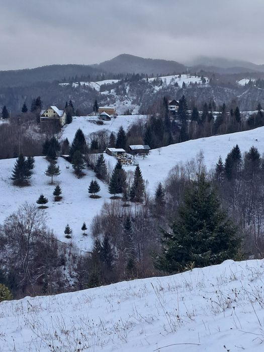 teren la munte Rucar-Moeciu-Bran