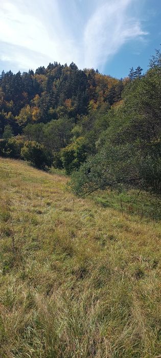 Продава се Земеделски имот в Смолян, в.з. Смолян -  кв.м за 1084 €/дка - Снимка #1