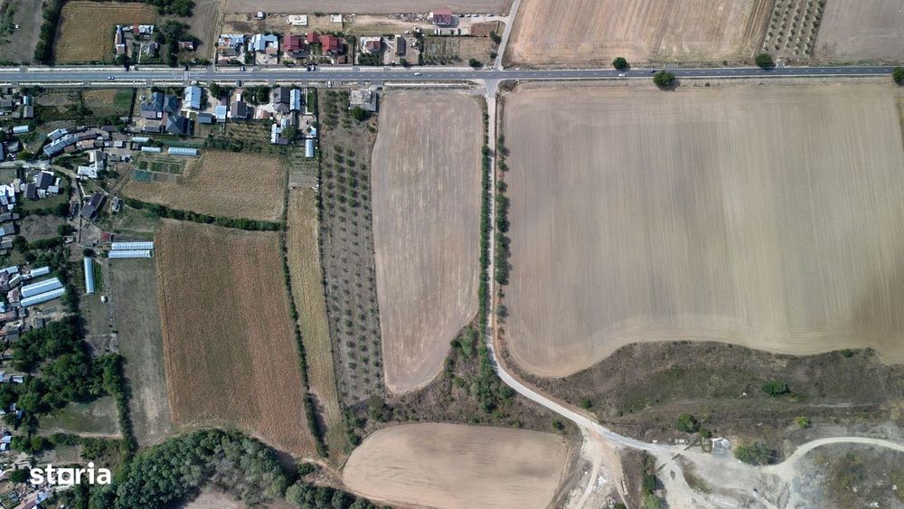 Vanzare teren 9654 mp, deschidere 27m, comuna Dobra, sat Dobra