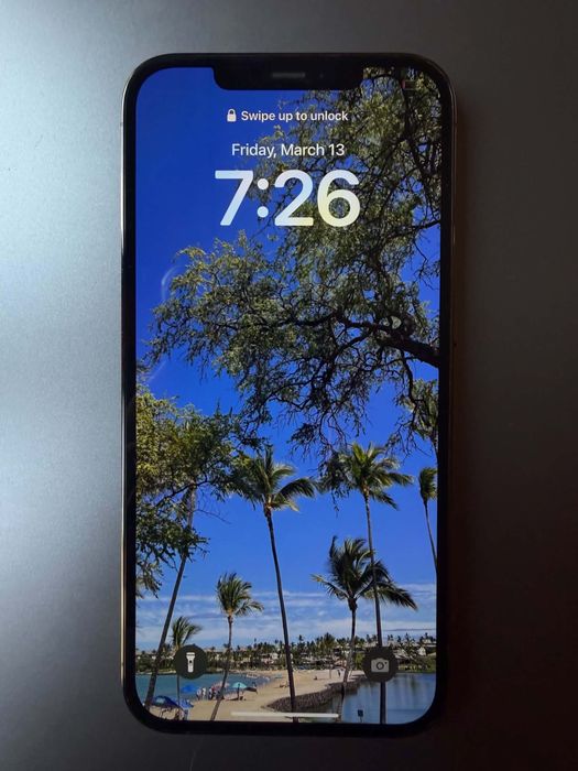 iPhone 12 Pro Max 256 GB