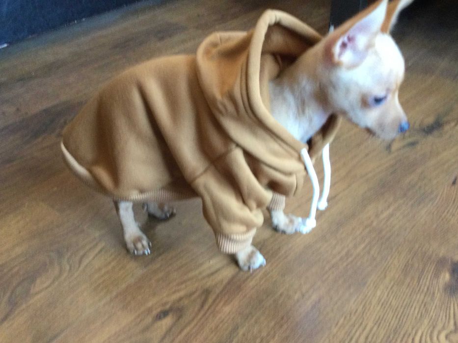 НОВ топъл кафяв суичър за куче от Италия размер S и M