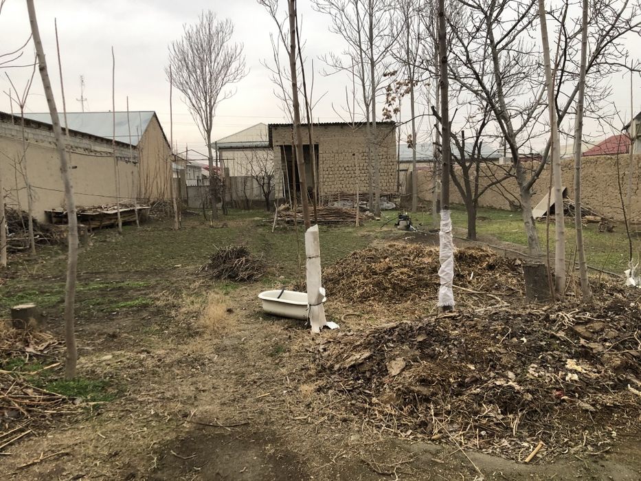 Жума шахрини марказида участка сотилади.  1 сотиги 15 минг доллор