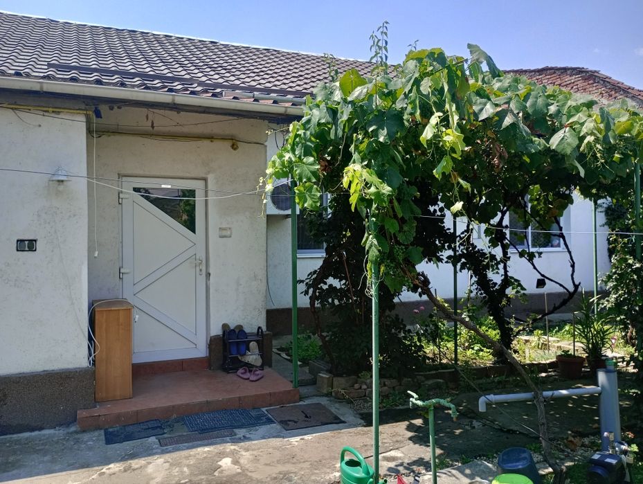 Apartament 4 camere(casă)curte comună Iosefin