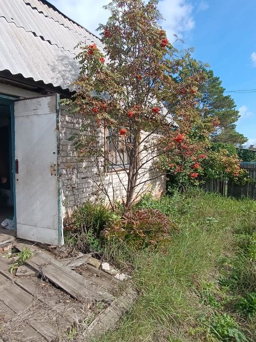 Продам дачу в с.о Ракета