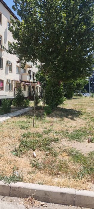 Квартира под офис в доль дароги 1 этаж. Рядом с Алмазар сити