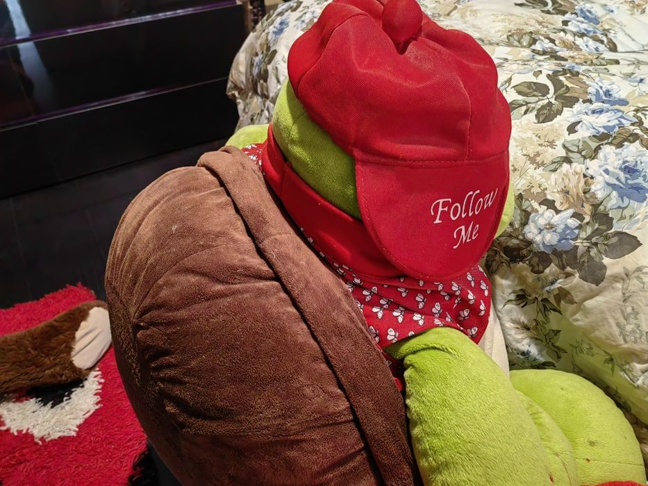 Огромни маймуна и костенурка