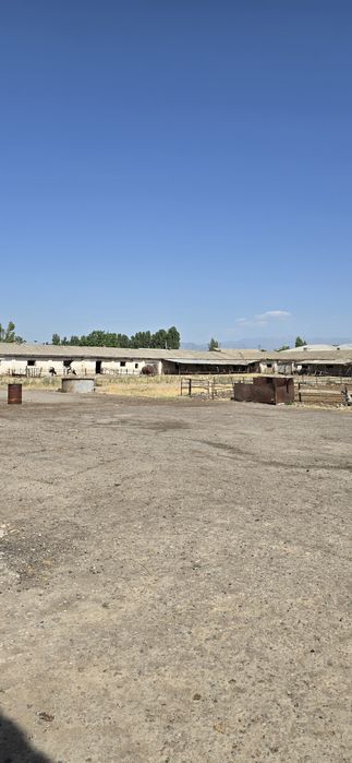 Кибрай 4.гек,биноси билан