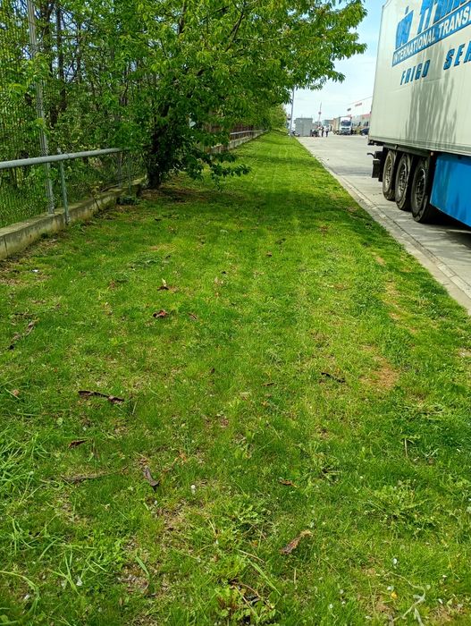 Grădinar peisagistic ofer servicii