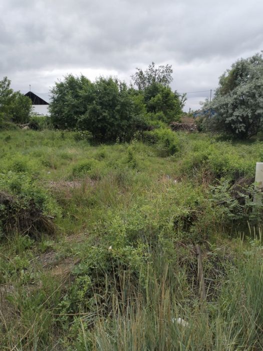 Продам дачный участок