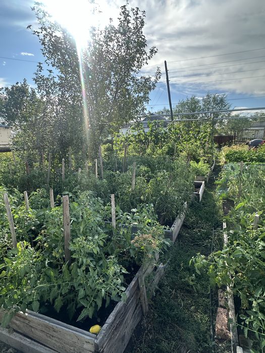 Продается 5 комн. дом в п. Топар